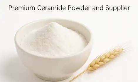 How to Choose High-Quality Ceramide Powder and Supplier?